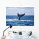 Humpback Whale Slaps Its Wall Decal Design 2