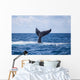 Humpback Whale Slaps Its Wall Decal Design 2