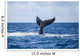 Humpback Whale Slaps Its Wall Decal Design 2