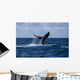 Humpback Whale Slaps Its Wall Decal Design 1