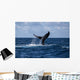 Humpback Whale Slaps Its Wall Decal Design 1