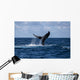 Humpback Whale Slaps Its Wall Decal Design 1