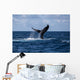 Humpback Whale Slaps Its Wall Decal Design 1