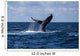 Humpback Whale Slaps Its Wall Decal Design 1