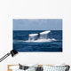 Humpback Whale Raises Its Wall Decal Design 2