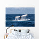 Humpback Whale Raises Its Wall Decal Design 2