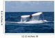 Humpback Whale Raises Its Wall Decal Design 2
