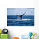 Humpback Whale Raises Its Wall Decal Design 1