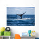 Humpback Whale Raises Its Wall Decal Design 1