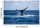 Humpback Whale Raises Its Wall Decal Design 1