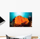 Bright Orange Cup Corals Wall Decal