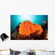 Bright Orange Cup Corals Wall Decal