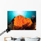 Bright Orange Cup Corals Wall Decal