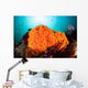 Bright Orange Cup Corals Wall Decal