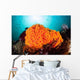 Bright Orange Cup Corals Wall Decal