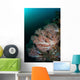 Beautiful Soft Corals Grow Wall Decal
