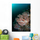 Beautiful Soft Corals Grow Wall Decal