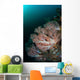 Beautiful Soft Corals Grow Wall Decal