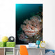 Beautiful Soft Corals Grow Wall Decal