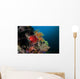 Colorful Sea Apple Clings Wall Decal Design 2