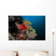Colorful Sea Apple Clings Wall Decal Design 2