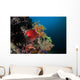 Colorful Sea Apple Clings Wall Decal Design 2