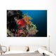 Colorful Sea Apple Clings Wall Decal Design 2