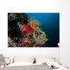 Colorful Sea Apple Clings Wall Decal Design 2