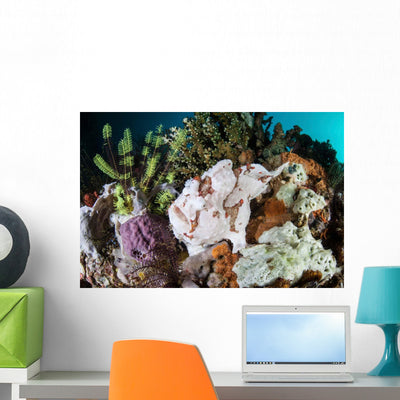 Giant Frogfish Blends into Wall Decal Design 3 shown on a wall