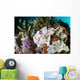 Giant Frogfish Blends into Wall Decal Design 3
