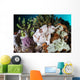 Giant Frogfish Blends into Wall Decal Design 3