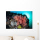 Soft Corals and Invertebrates Wall Decal Design 3
