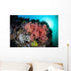 Soft Corals and Invertebrates Wall Decal Design 3