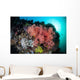 Soft Corals and Invertebrates Wall Decal Design 3