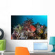 Colorful Sea Apple Clings Wall Decal Design 1