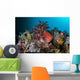 Colorful Sea Apple Clings Wall Decal Design 1