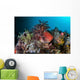 Colorful Sea Apple Clings Wall Decal Design 1