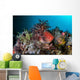 Colorful Sea Apple Clings Wall Decal Design 1