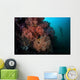 Soft Corals and Invertebrates Wall Decal Design 2