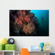 Soft Corals and Invertebrates Wall Decal Design 2