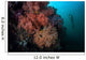 Soft Corals and Invertebrates Wall Decal Design 2