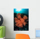 Soft Corals and Invertebrates Wall Decal Design 1