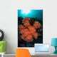 Soft Corals and Invertebrates Wall Decal Design 1