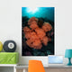 Soft Corals and Invertebrates Wall Decal Design 1