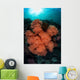 Soft Corals and Invertebrates Wall Decal Design 1
