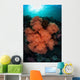 Soft Corals and Invertebrates Wall Decal Design 1