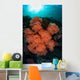 Soft Corals and Invertebrates Wall Decal Design 1