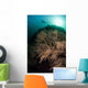 Massive Black Coral Colony Wall Decal
