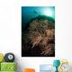 Massive Black Coral Colony Wall Decal