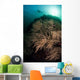 Massive Black Coral Colony Wall Decal
